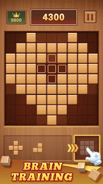 Wood Block 99 - Sudoku Puzzle (Вуд Блок 99)  [МОД Бесконечные деньги] Screenshot 2