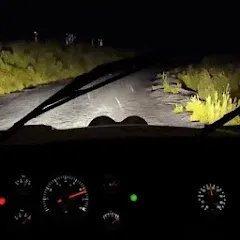 Скачать взломанную Endless Night Drive (Эндлесс Найт Драйв)  [МОД Много монет] - полная версия apk на Андроид