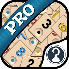 Скачать взлом Okey Pro (Окей Про)  [МОД Много денег] - полная версия apk на Андроид