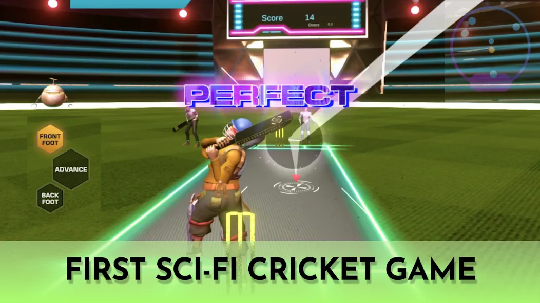 Cricket Fly x Gamifly (Крикет Флай)  [МОД Бесконечные деньги] Screenshot 1