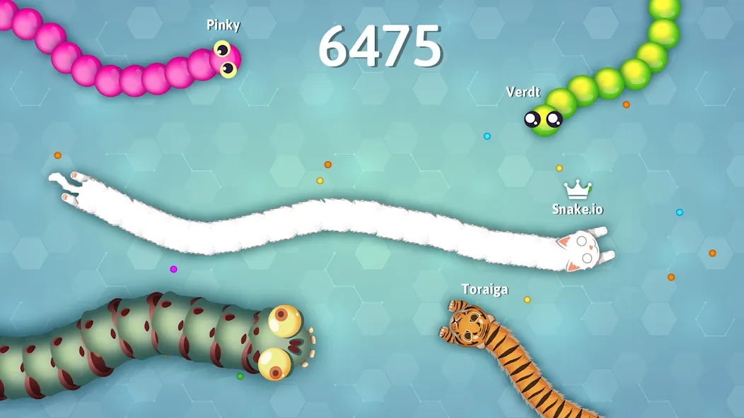 Snake.io - Fun Snake .io Games  [МОД Бесконечные деньги] Screenshot 5