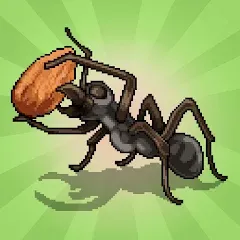 Скачать взломанную Pocket Ants: Colony Simulator (Покет Муравьи)  [МОД Бесконечные монеты] - последняя версия apk на Андроид