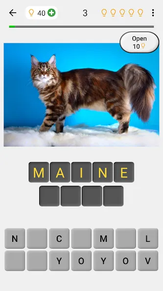 Cats Quiz Guess Popular Breeds  [МОД Все открыто] Screenshot 1