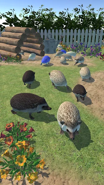 Hedgehog Friends (Хеджхог Френдс)  [МОД Menu] Screenshot 3