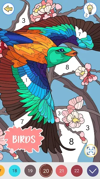 Color by Number: Coloring Book  [МОД Меню] Screenshot 4