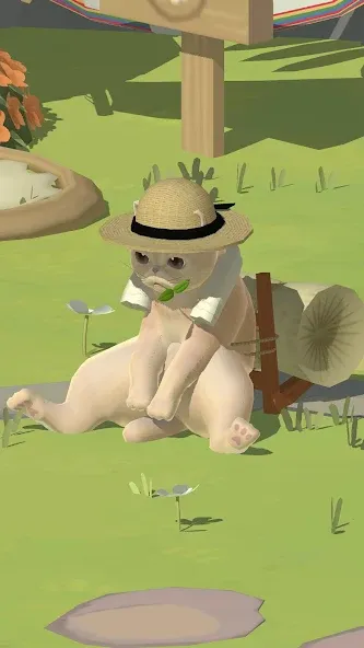 Kitty Cat Resort  [МОД Много монет] Screenshot 4