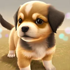 Скачать взлом Dog Town: Puppy Pet Shop Games (Догтаун)  [МОД Unlimited Money] - полная версия apk на Андроид