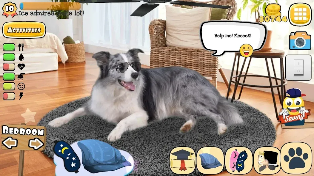 Adopt a pet : Corgi Games (Риал Петс бай Фруви)  [МОД Unlocked] Screenshot 5