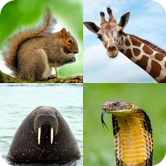 Скачать взломанную Animal Quiz: Guess the Animal  [МОД Много денег] - полная версия apk на Андроид