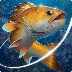 Скачать взлом Fishing Hook  [МОД Меню] - полная версия apk на Андроид