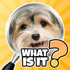 Взлом What is it? Pics Trivia Quiz  [МОД Много монет] - последняя версия apk на Андроид