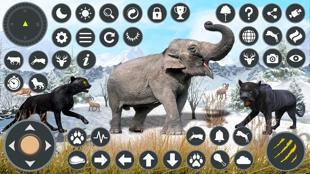 Wild Black Panther Games  [МОД Бесконечные деньги] Screenshot 3