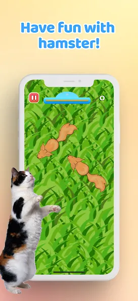 Games for Cat－Toy Mouse & Fish  [МОД Все открыто] Screenshot 5