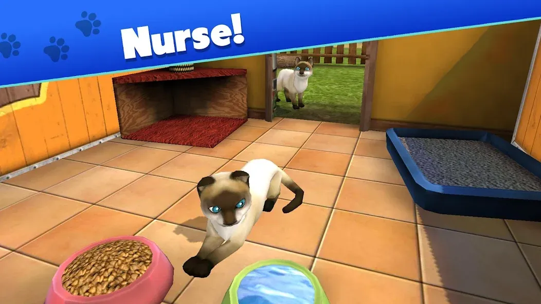 Pet World - My Animal Shelter (Пет Ворлд)  [МОД Menu] Screenshot 3