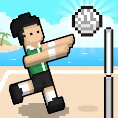 Взломанная Volley Random (Воллей Рэндом)  [МОД Много монет] - последняя версия apk на Андроид