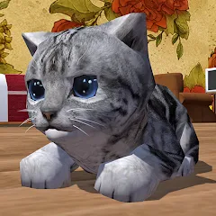 Взломанная Cute Pocket Cat 3D (Сьют Покет Кэт 3Д)  [МОД Бесконечные монеты] - стабильная версия apk на Андроид