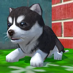 Скачать взломанную Cute Pocket Puppy 3D (Сьют Покет Паппи 3Д)  [МОД Все открыто] - стабильная версия apk на Андроид