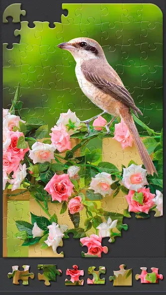 Jigsaw Puzzles for Adults  [МОД Меню] Screenshot 3