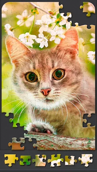 Jigsaw Puzzles for Adults  [МОД Меню] Screenshot 5