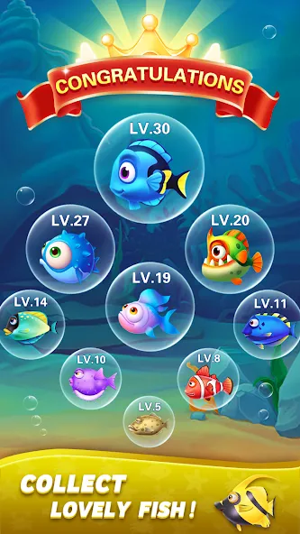 Block Ocean 1010 Puzzle Games (Блок Океан 1010 Головоломки)  [МОД Бесконечные монеты] Screenshot 5