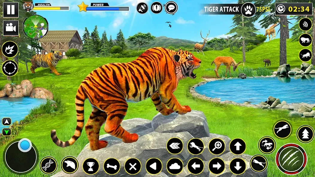 Tiger Simulator Lion games 3D (Тигровый Симулятор Игр Льва 3D)  [МОД Бесконечные монеты] Screenshot 4