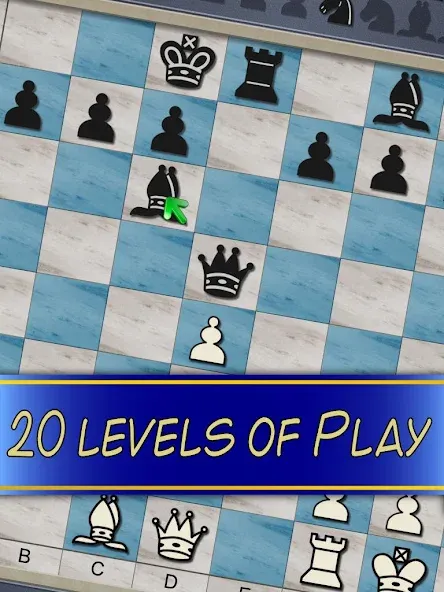 Chess V+ - board game of kings  [МОД Бесконечные монеты] Screenshot 5