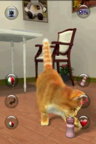 Talking Lovely Cat  [МОД Mega Pack] Screenshot 5